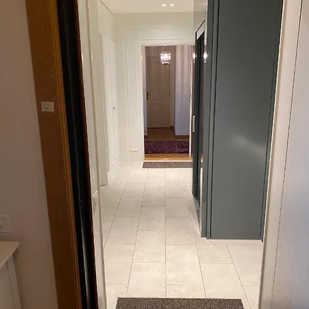 Apartment Geneve, Plein Centre,belle Vue Lac, Splendide Et Grand